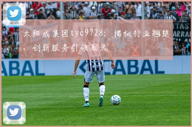 太阳成集团tyc9728：揭秘行业翘楚，创新服务引领潮流