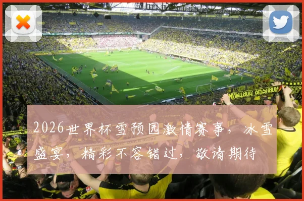 2026世界杯雪预园激情赛事，冰雪盛宴，精彩不容错过，敬请期待