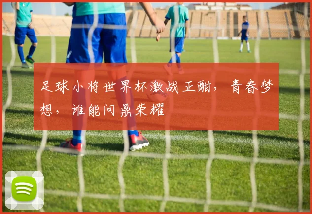 足球小将世界杯激战正酣，青春梦想，谁能问鼎荣耀