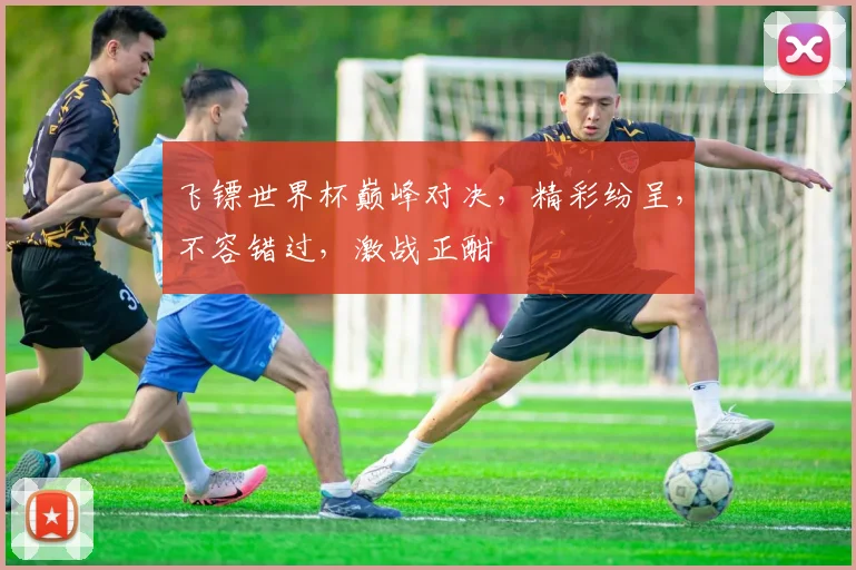 飞镖世界杯巅峰对决，精彩纷呈，不容错过，激战正酣