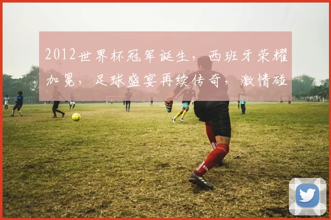 2012世界杯冠军诞生，西班牙荣耀加冕，足球盛宴再续传奇，激情碰撞