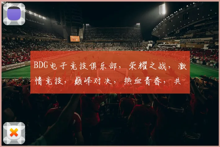 BDG电子竞技俱乐部，荣耀之战，激情竞技，巅峰对决，热血青春，共筑电竞传奇